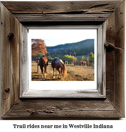 trail rides near me in Westville, Indiana